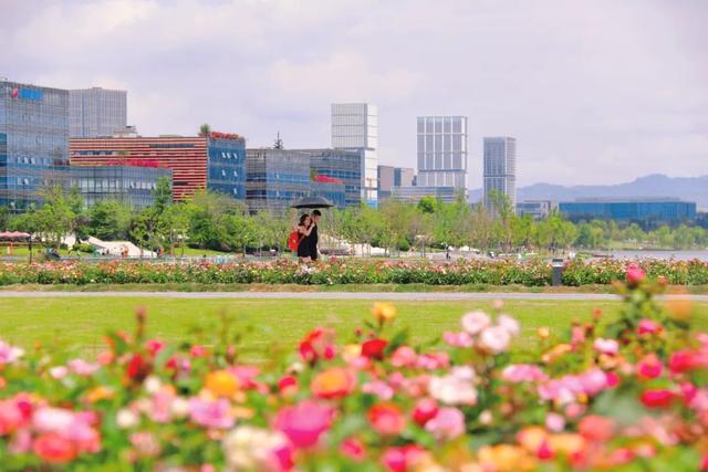 天府新区：以公园城市的方式，打开世运会
