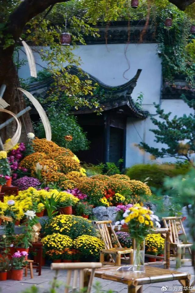 怎么能错过秦淮的秋天呢？