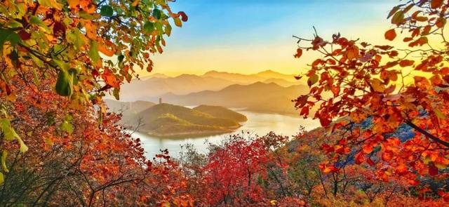 颜值巅峰！北京秋日“调色盘”尽在这些水岸——