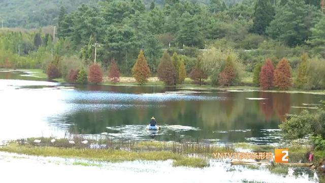 美得像油画！三家村水库即将迎来颜值巅峰