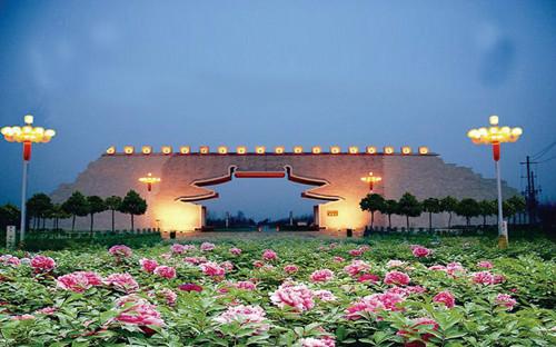 洛阳多个牡丹园开放时间、门票价格及优惠政策公布