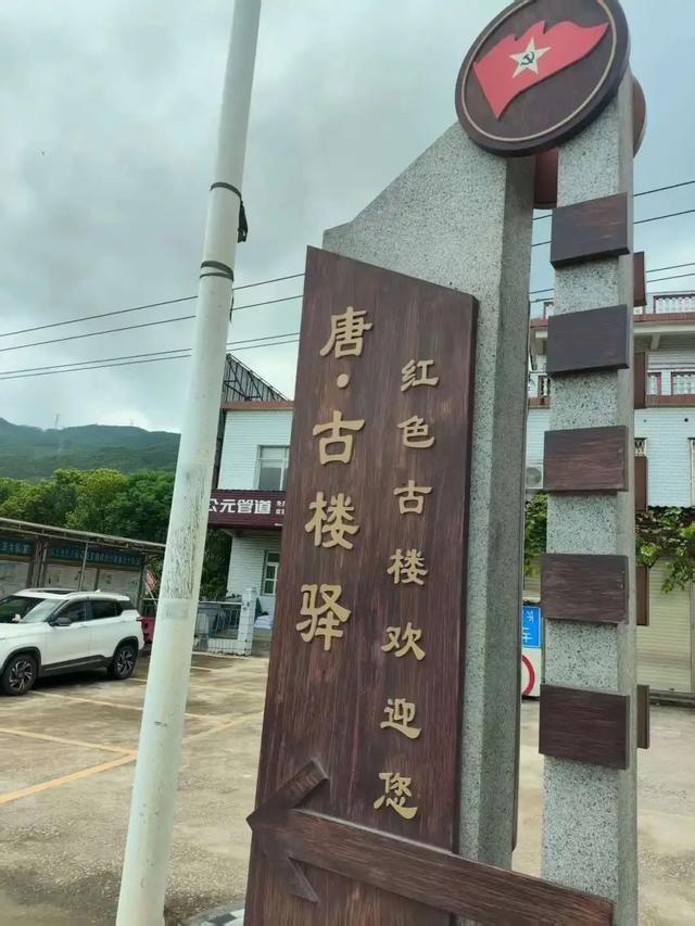 杭州20岁学霸小伙，独自坐公交去三亚！“体验奇妙又有趣”