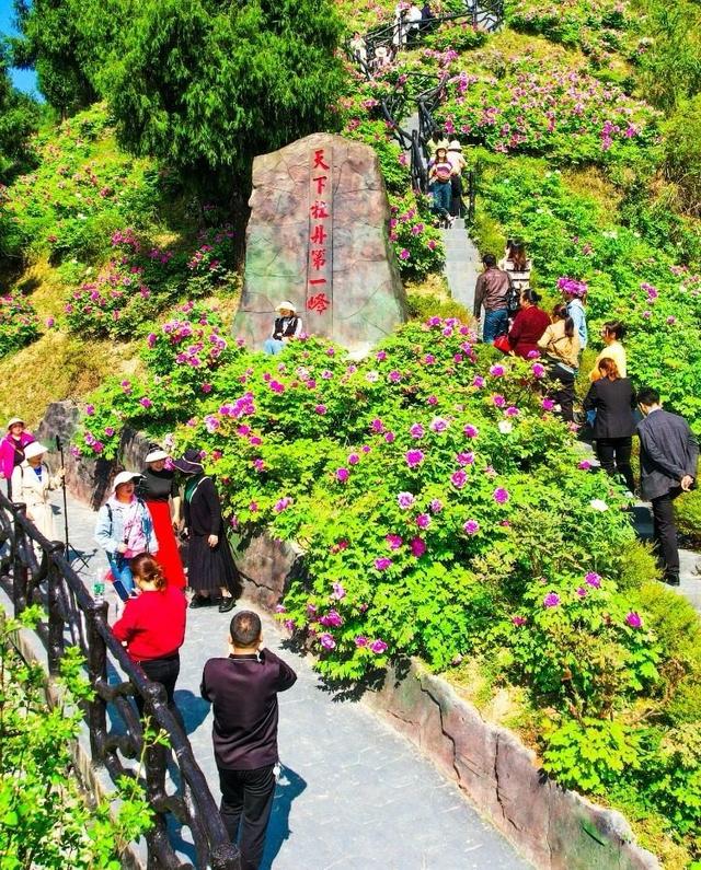 双城周刊｜跨省“微度假” 解锁川渝小城引流密码
