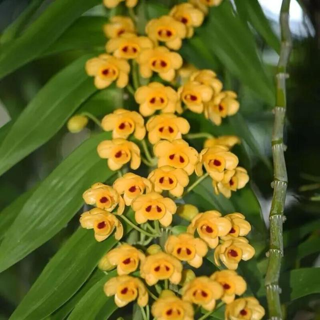 正式发布！罗湖独占全市一半！