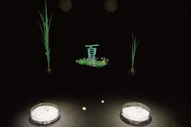 一日闲，两日慢，三日深度玩！满满年味看青浦→