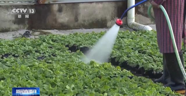 “300米见绿，500米见园” 成都打造长效发展“千园之城”