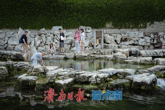 一年四季 泉在济南丨雨后黑虎泉畔，市民取水赏景尽享清凉