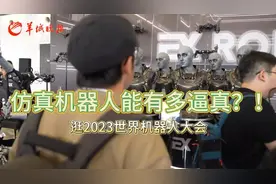 世界机器人大会Vlog｜现在的仿真机器人有多逼真？图片