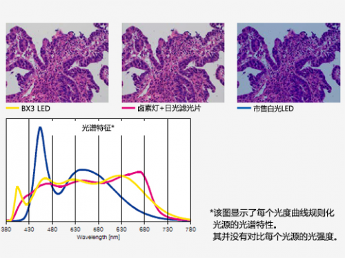 奥伟登（Evident）携多款数字化解决方案亮相全国病理年会
