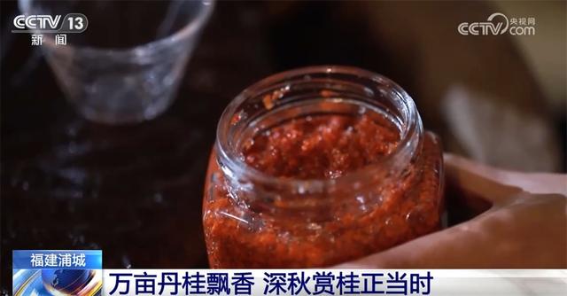 特色“赏秋游”澎湃“秋日经济”新动能 “文旅+”成为激发消费新引擎