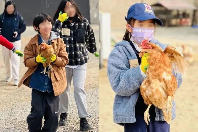 门票免费送！四会禾风稻田农场童玩节即将开启