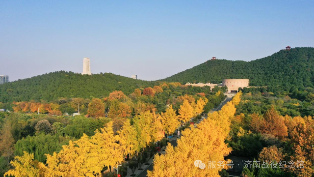 在英雄山，一叶知秋，邀您共赏