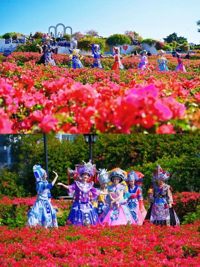 大美青秀山 | 叶子花园、丘石花园、音乐大草坪、金杉湖即将迎来冬日最佳观赏期！