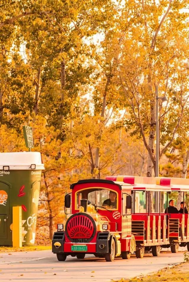 多彩京秋丨全市彩叶树变色率播报（2025.11.14）