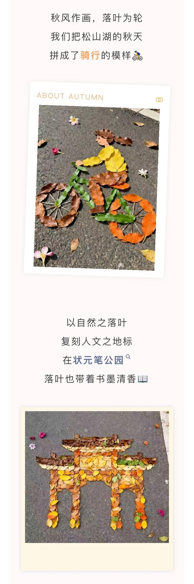 最美松湖｜烦恼No，捡秋Go！来这里一键切换治愈模式