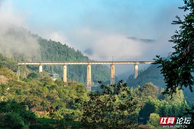岁暖时刻丨雾锁湘西晨色里，一方秘境藏烟火
