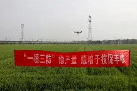 沙市区：“一喷三防”为小麦穿上“防护装”图片