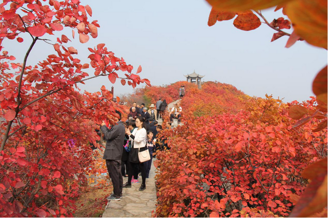 好多人来看这座“红透了”的山？为啥呢→