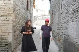 “石”分有趣！他能把平淡无奇的石头“变活”图片
