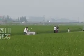 联播观察丨“乡”当潮！村里有了CEO图片