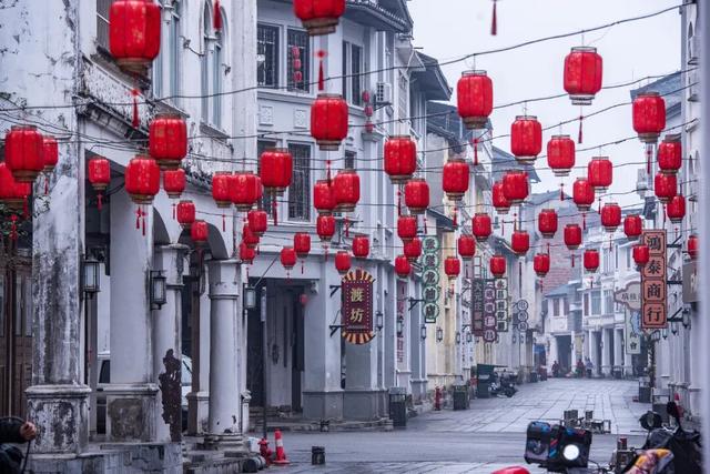 一口金桔甜，解锁融安初冬的N种玩法