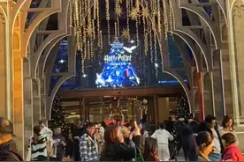 不爱网购，爱线下集结？“哈迷痛城”火爆上海！图片