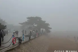 久旱逢甘霖！昨夜青岛普降小雨！周日还有中雨，周一雨雪交织图片