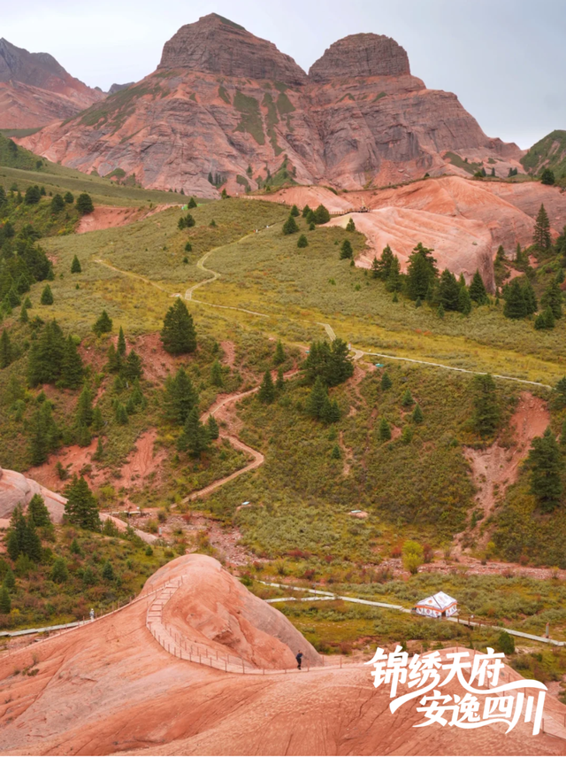 今天没有上班，也没有错过隐藏款新龙红山