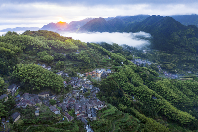一手牵传统、一手向未来，松阳凭什么“热”力全开？