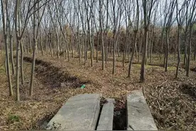 镇江一座乡间石桥疑似清代四川总督墓碑，相关部门已现场勘察，将进一步论证图片