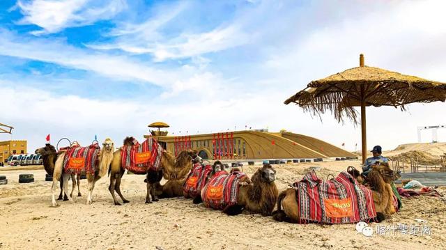 跟着《巴扎喜事》游麦盖提：在乐声里，感受最纯粹的“刀郎记忆”