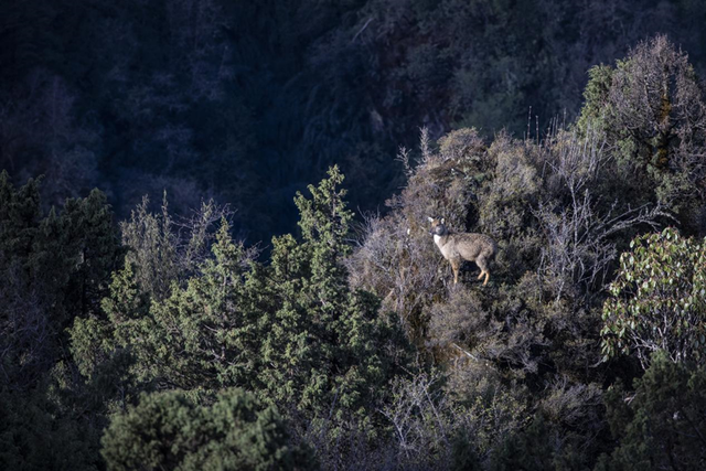 科考旅行｜秘境山南生态考察报名