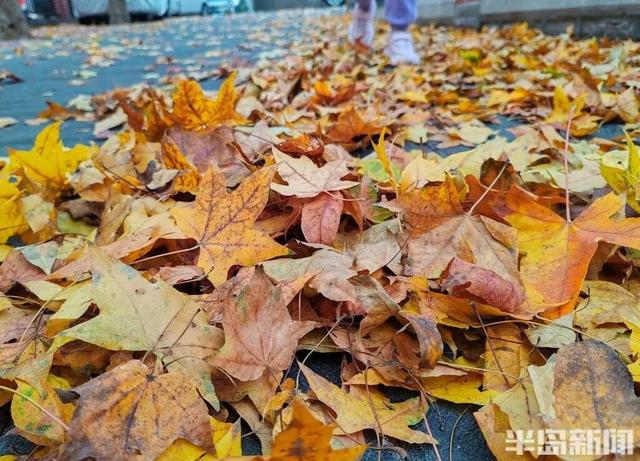 青岛八大关，乌泱泱的人为一件事而来！一款“魔法帽”火了！现场照片→