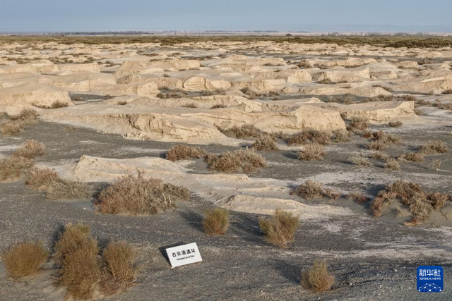 探访世界文化遗产点锁阳城遗址