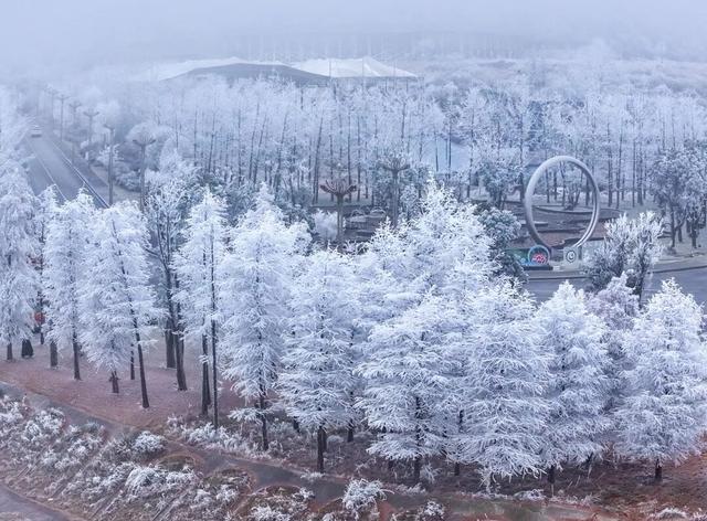 冬日限定！贵州的雾凇秘境藏不住了