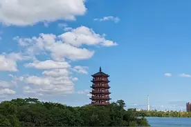 东莞华阳湖，超大浪漫花海即将“上线”！美出新高度！图片
