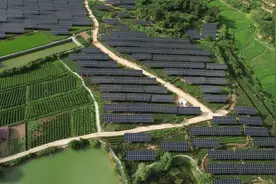 中国石化首个乡村振兴茶光互补项目全面建成图片