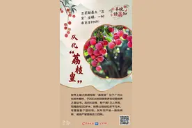 从千年贡品到甜蜜密码，这些“荔”史之最太顶啦！｜羊晚话“荔”知图片