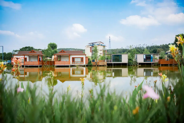 9.9元抢票！英德有这些地方让你体验“暖冬快乐”！