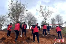广西连续16年每年植树造林超300万亩图片