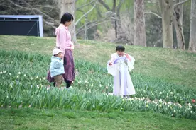 春天里的中国｜花海茶香伴古风：“春游”中国新景象图片