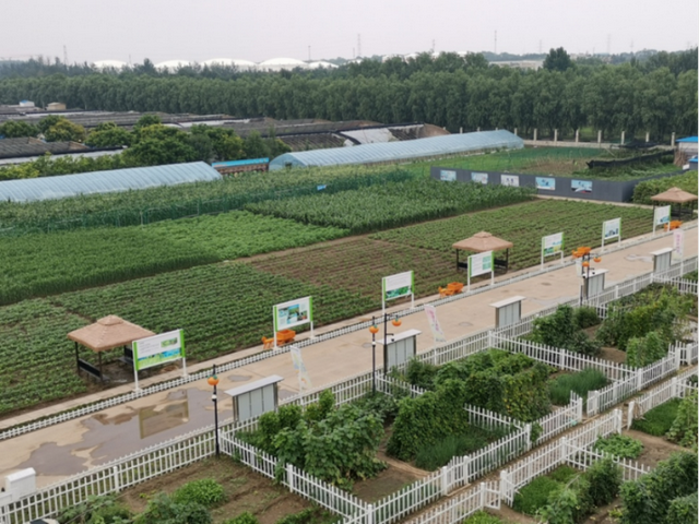 秋实累累 | 走！去丰台区佃起村打卡秋日限定美景！