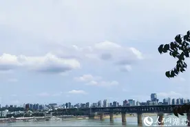 “桥”见江城 遇见大江大湖大武汉之美图片