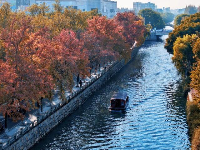 绿→黄，姑苏秋意进行时......