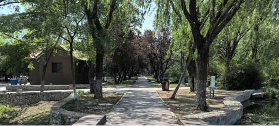 焕新归来！沂水东皋公园：四季有景夜有光 古塔生辉美出圈