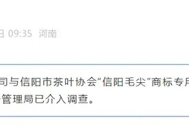 事关信阳毛尖啤酒“侵权”风波，信阳市场监管局介入调查！图片
