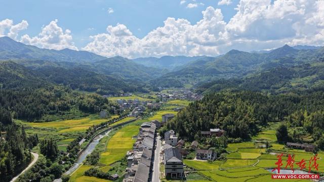 2025“紫鹊界梯田对话世界”农耕文化交流互鉴大会今日开幕