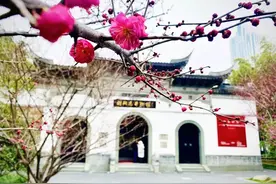 新春佳节，“梅”好来临！图片