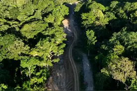 新春走基层｜巴西东西铁路建设工地上的中国年图片