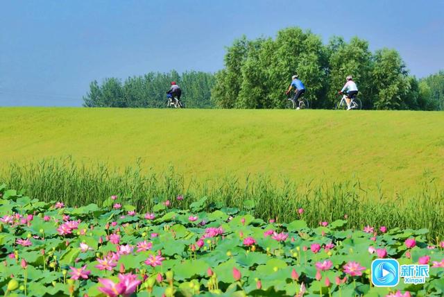 一路风景！尽赏潍坊北辰绿洲湿地公园“骑”观→
